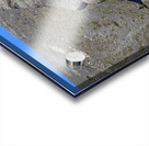 Lost Moai Acrylic print