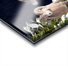 Bighorn ship Acrylic print