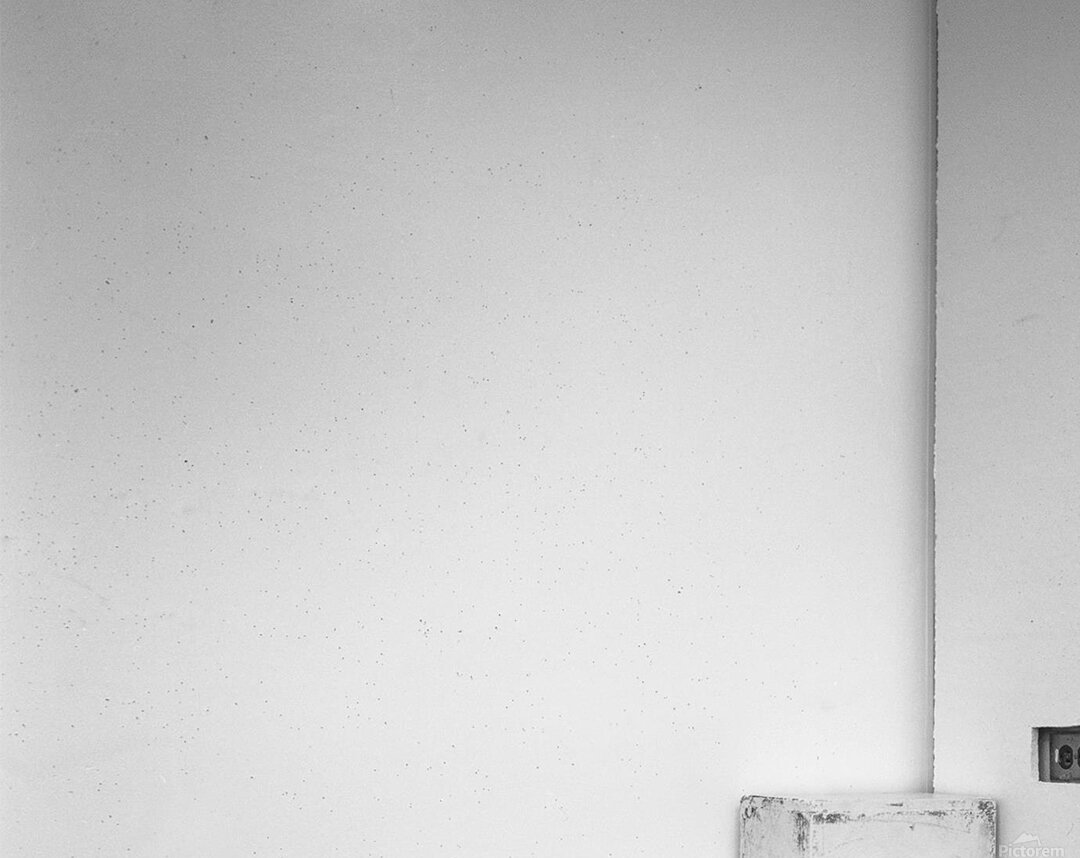 American Black Bear Acrylic Print