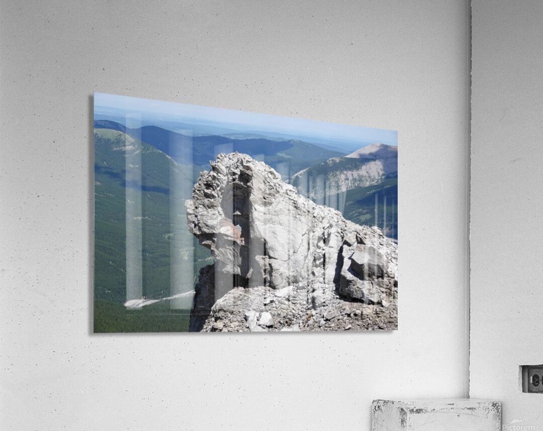 Sentinel Acrylic Print