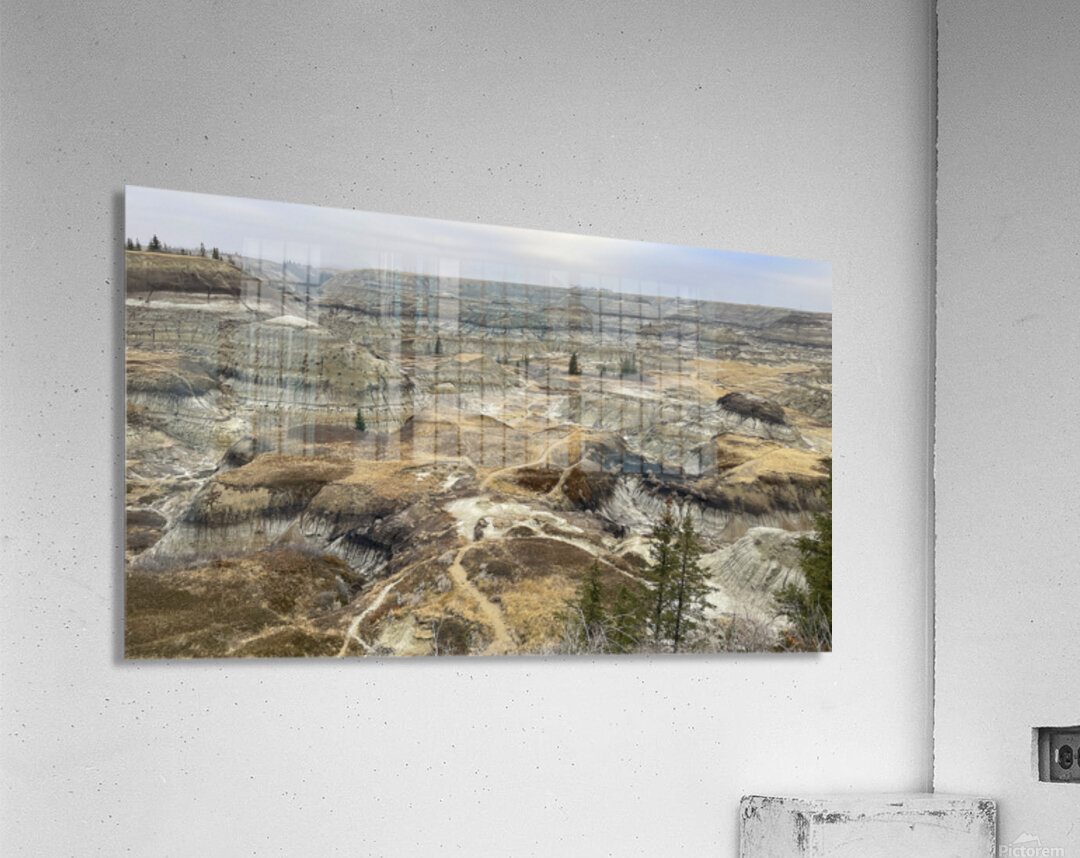Badlands Labyrinth Acrylic Print