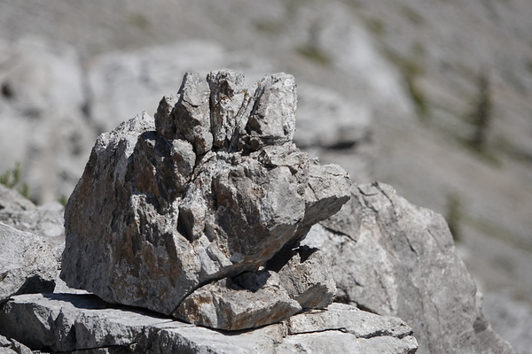 Grumpy Garriochmill by Danilov Alpine Works