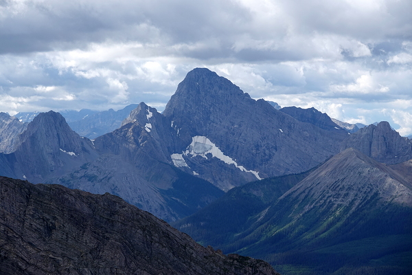 Birdwood from Buller Print