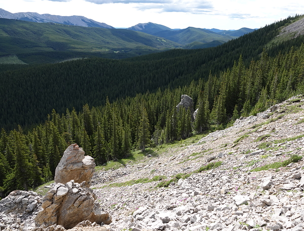 Broken Sentinels by Danilov Alpine Works