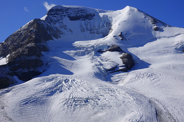 Mount Athabaska and Athabaska Glacier by Danilov Alpine Works