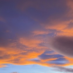 Embers Over Bow Valley