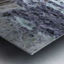 Cow moose 2 Metal print