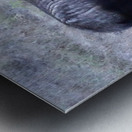 Bull moose Metal print