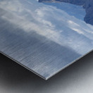 Birdwood from Buller Metal print