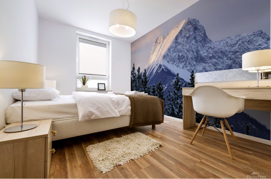 The Wedge Mural print