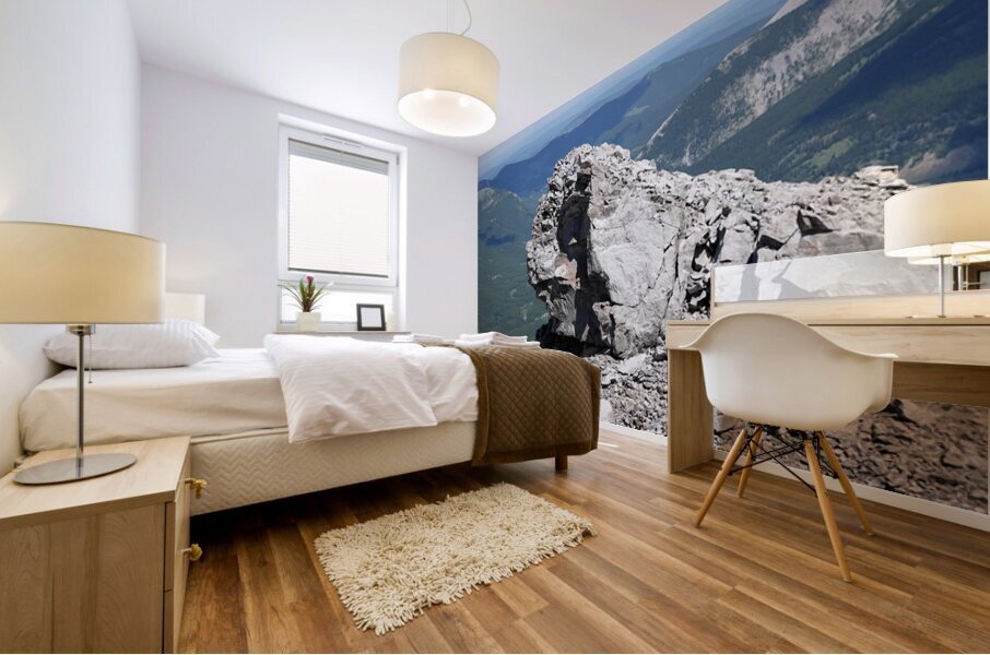 Sentinel Mural print