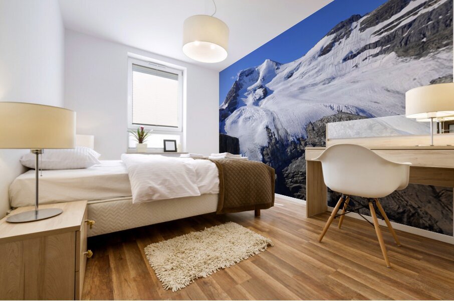 Mount Athabaska Mural print