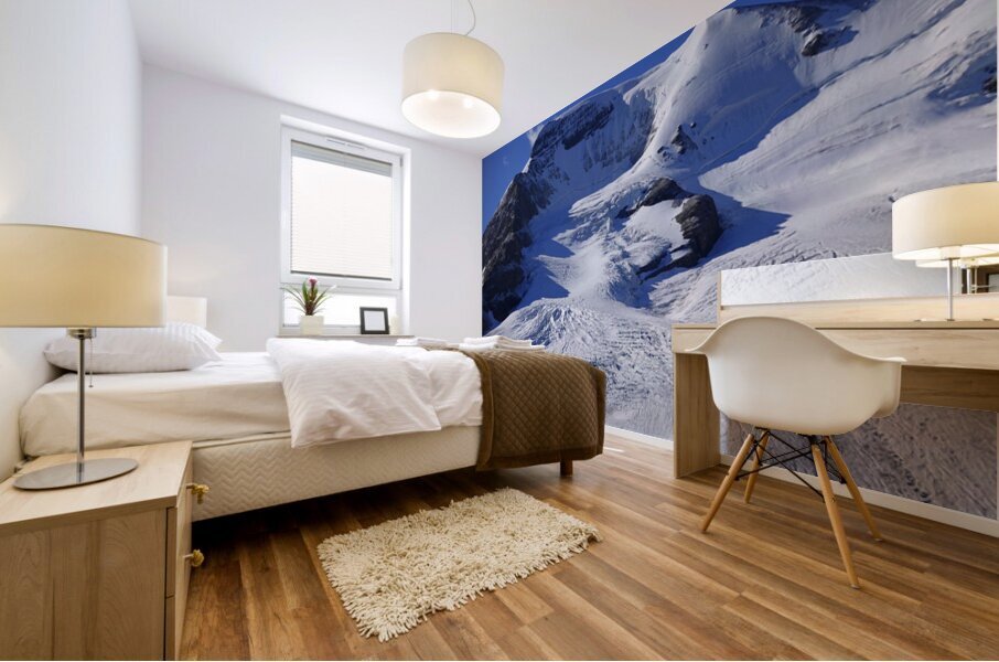 Mount Athabaska and Athabaska Glacier Mural print