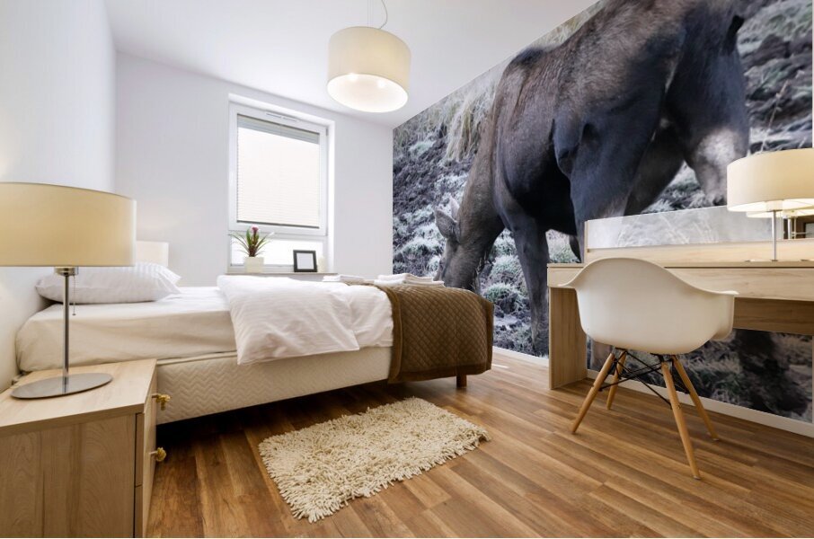 Cow moose 2 Mural print