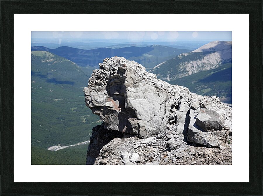 Sentinel Picture Frame print