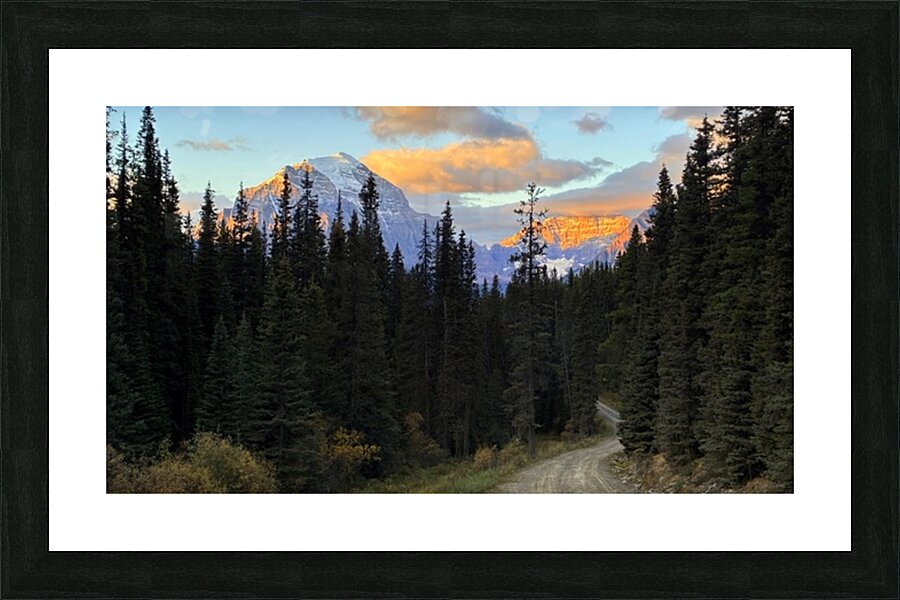 Temple and Hungabee Mountains alpenglow Picture Frame print