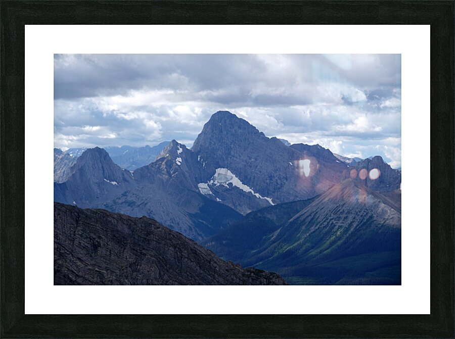 Birdwood from Buller Picture Frame print