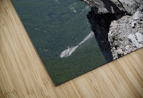 Sentinel Danilov Alpine Works puzzle