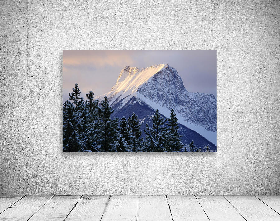 The Wedge Wall Preview