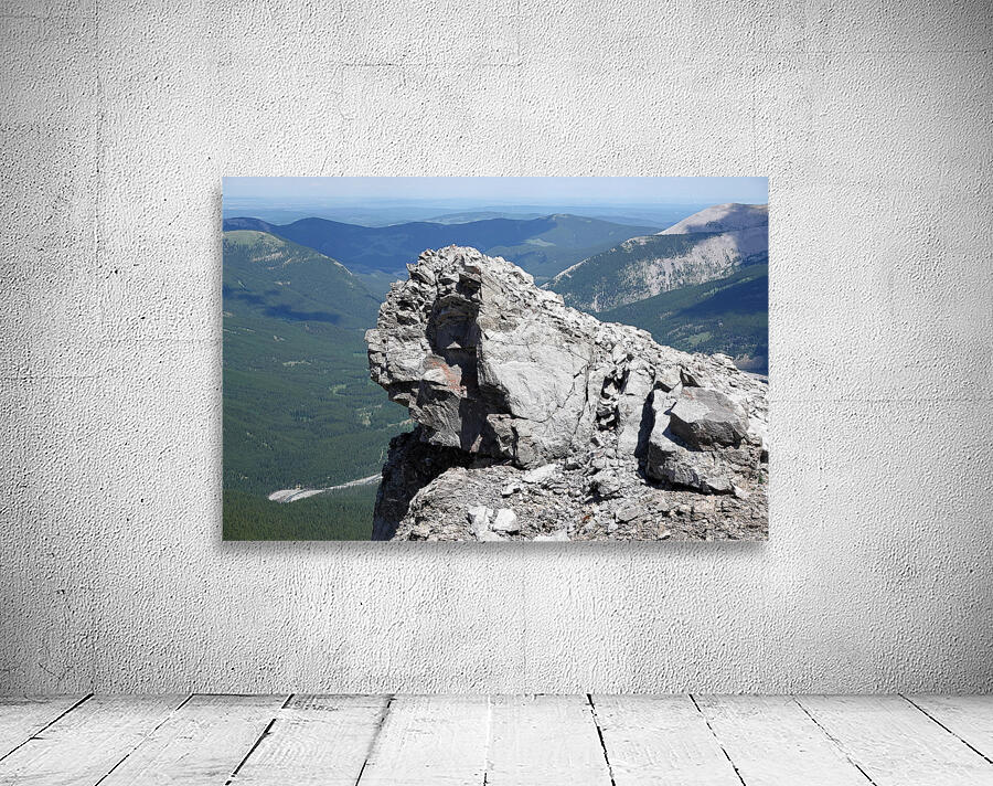 Sentinel Wall Preview