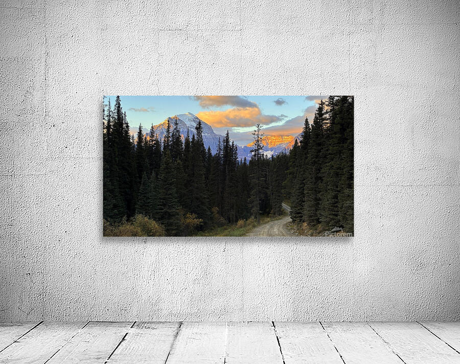 Temple and Hungabee Mountains alpenglow Wall Preview