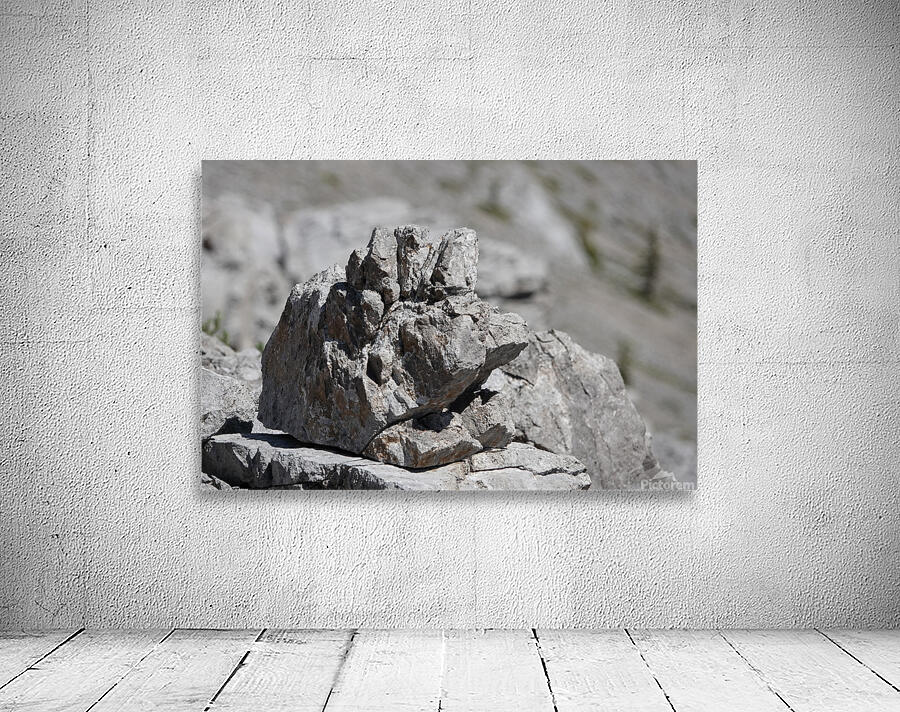 Grumpy Garriochmill Wall Preview