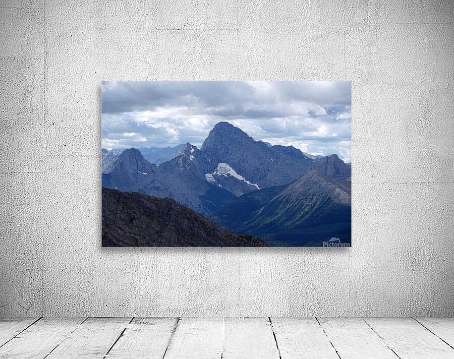 Birdwood from Buller Wall Preview