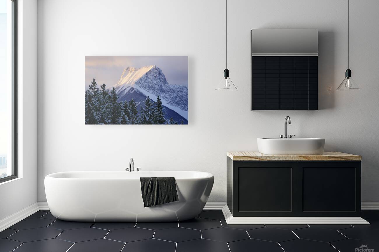 The Wedge Reproduction