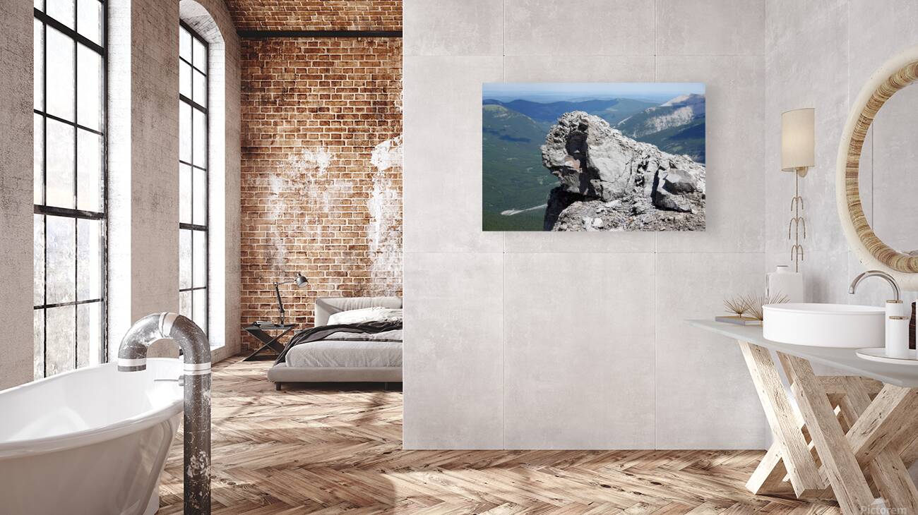 Sentinel Reproduction