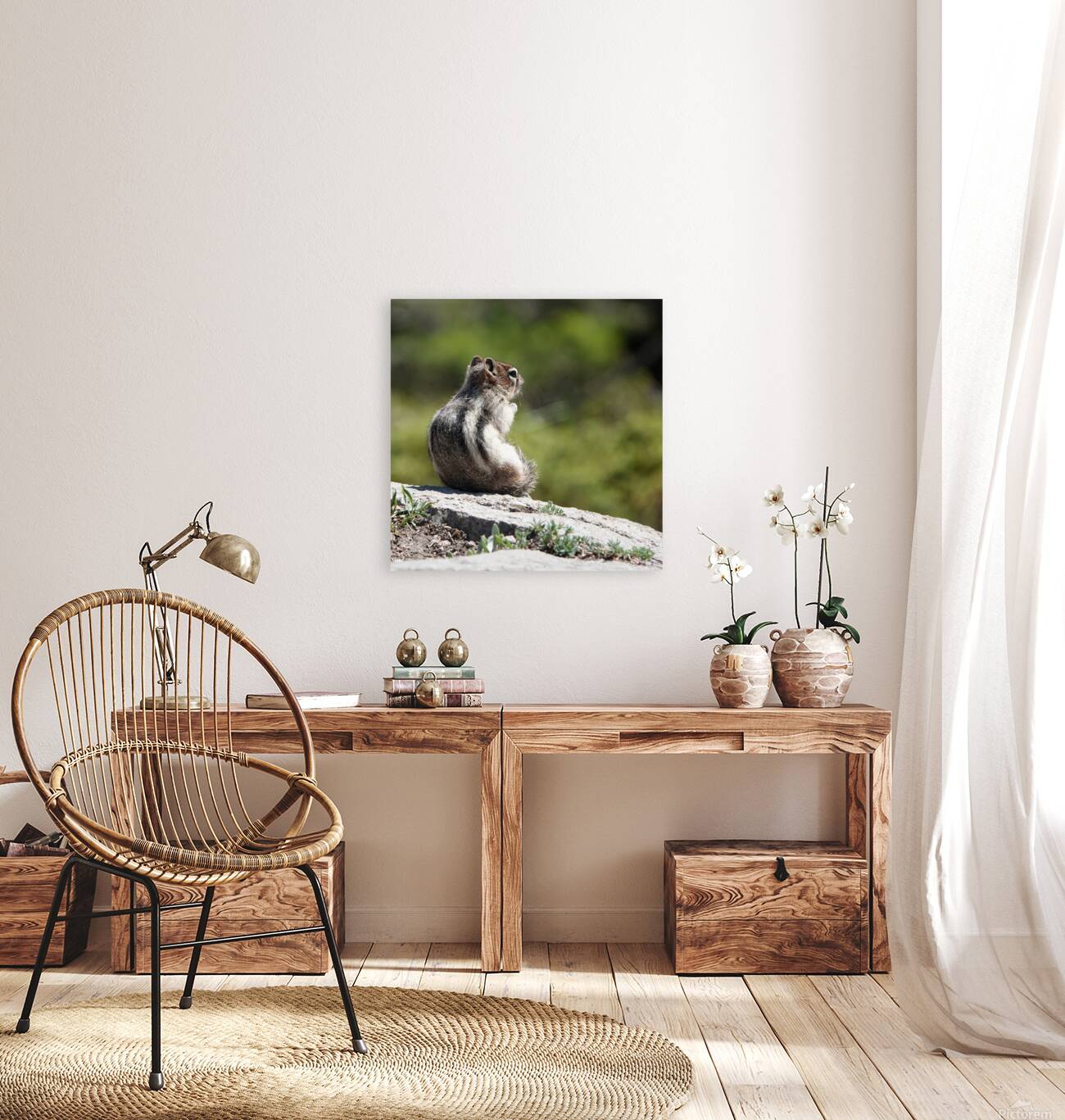 Cute chipmunk admiring a view Reproduction