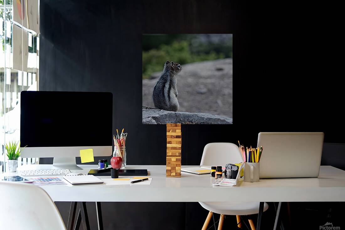 Cute chipmunk admiring a view Reproduction