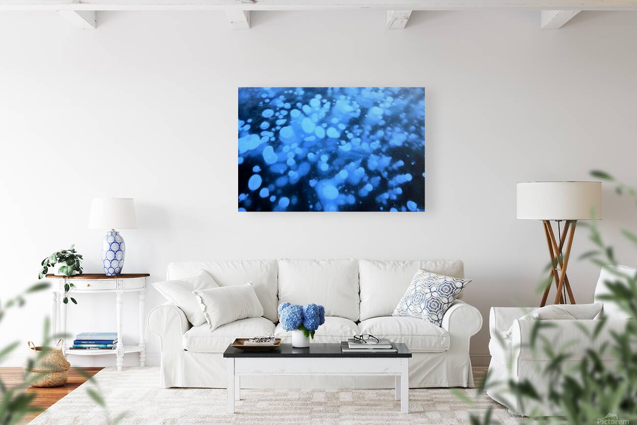 Methane Bubbles on Abraham Lake Reproduction