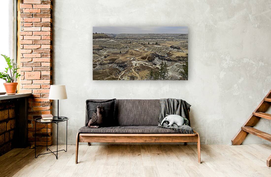 Badlands Labyrinth Reproduction