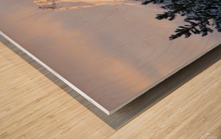 The Wedge Wood print