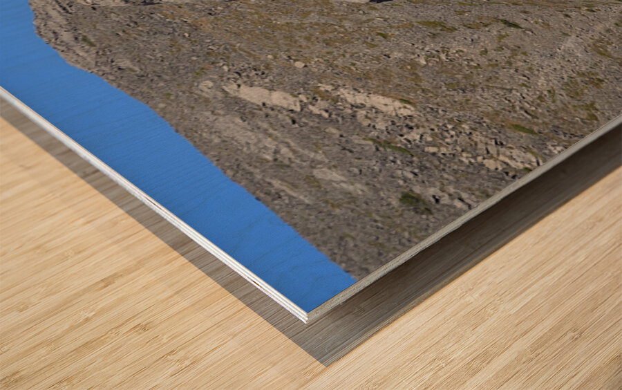 Lost Moai Wood print