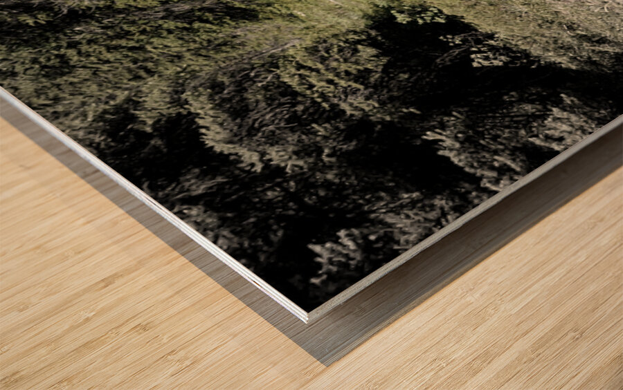 Jimmy Simpson Jr. Wood print