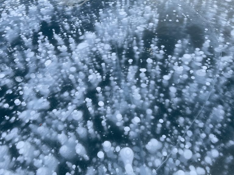 Frozen methane bubbles on Abraham Lake