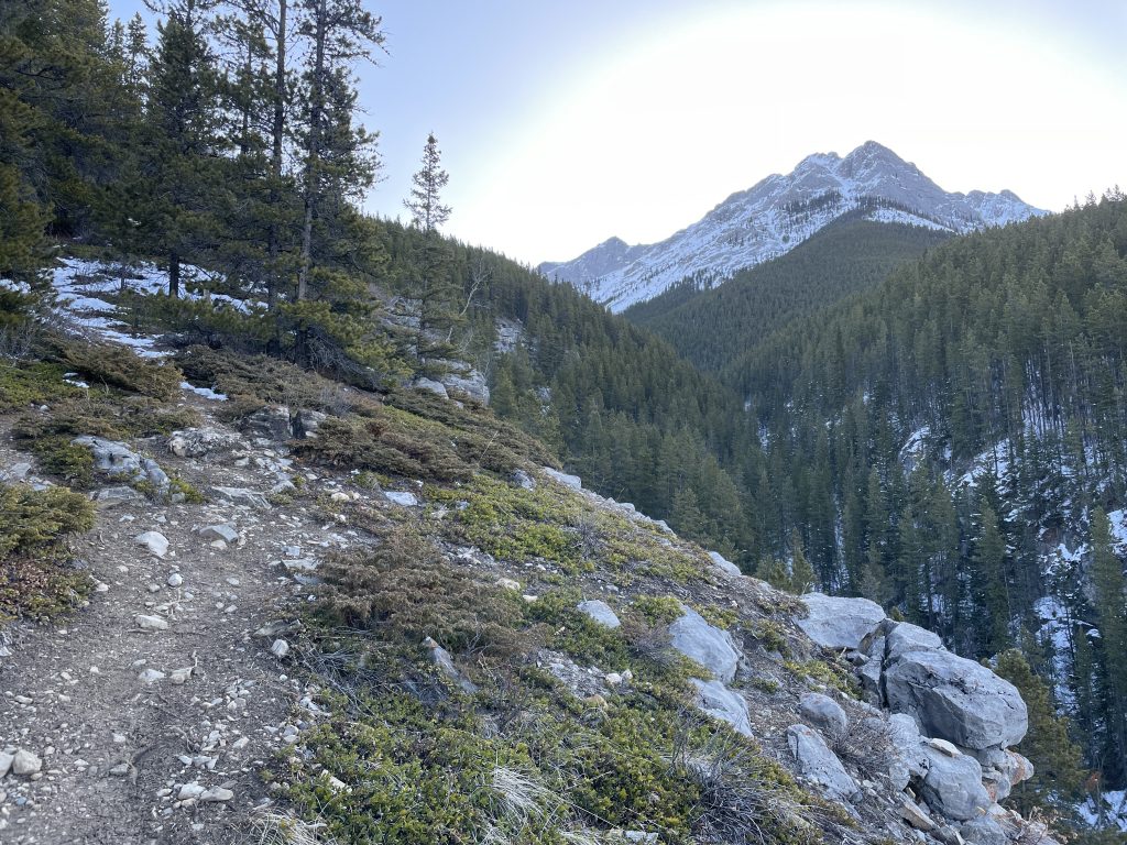 Kananaskis Peak from Wasootch Peak trail