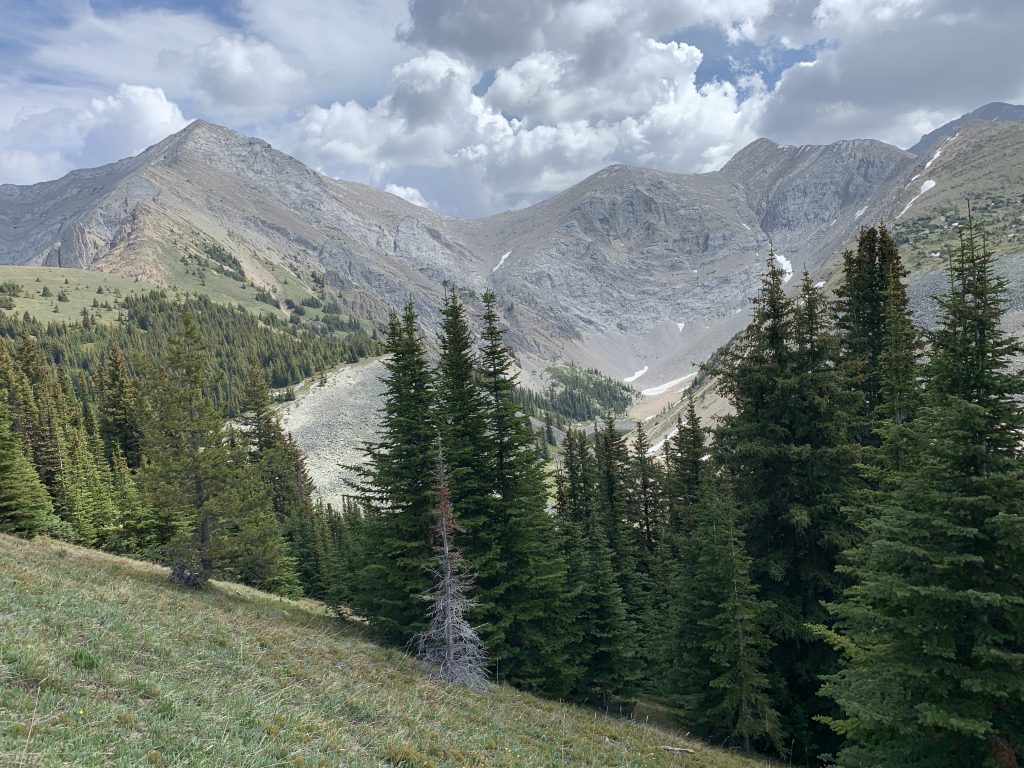 Old Baldy Ridge