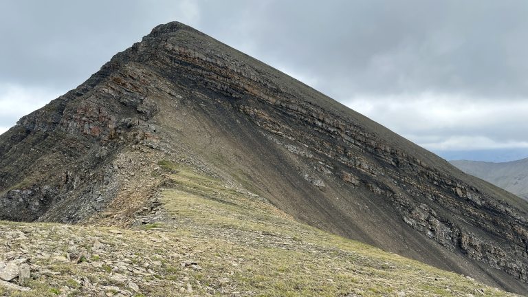 390 m to Mount Collembola from North Route