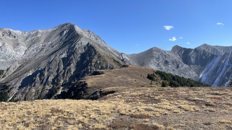 Old Baldy Peak from Old Baldy Ridge